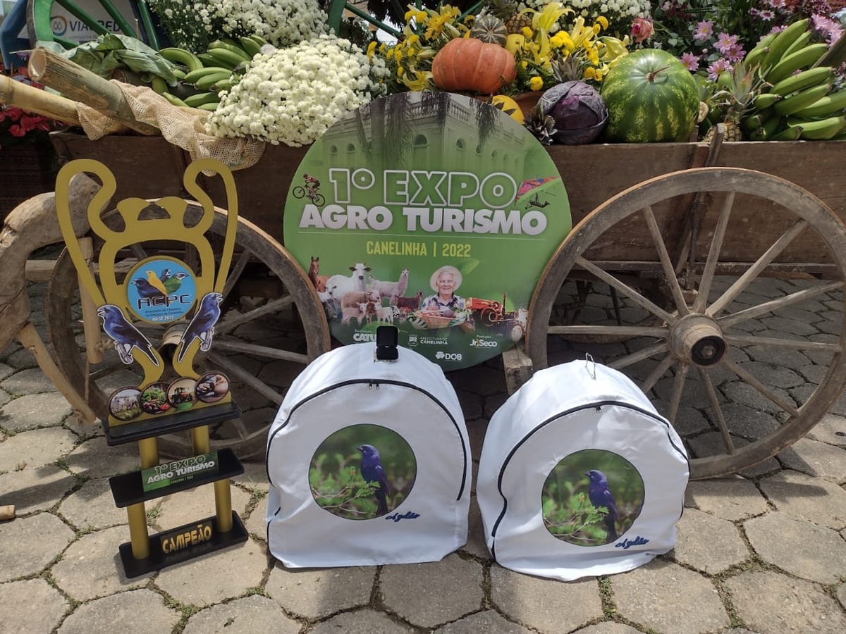 AZULÃO RELÂMPAGO É CAMPEÃO PELA ACPC